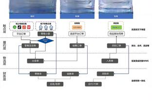 5球2助攻，帕尔默13场英超参与7球，为蓝军队内球员最多